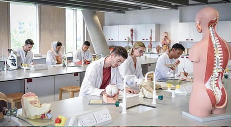 Medical Basics Made Easy: Learn the Core Concepts Today!